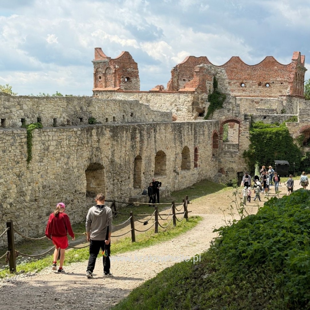 Zamek Tenczyn Rudno