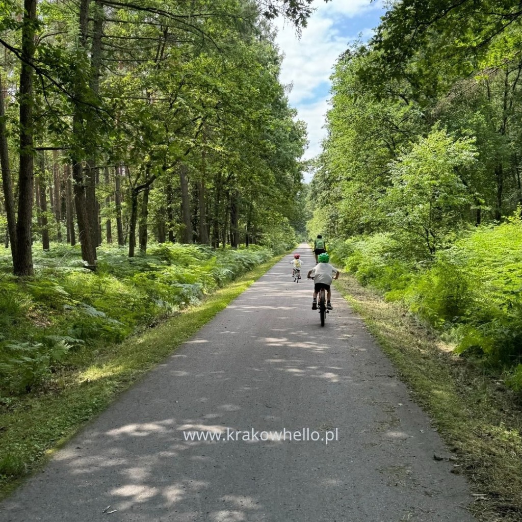 Trasa rowerowa w Puszcza Niepołomice